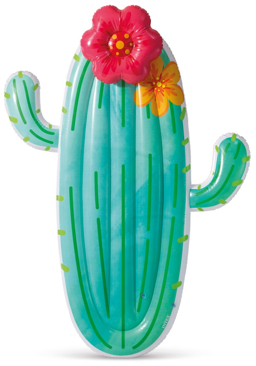 Intex Cactus Float